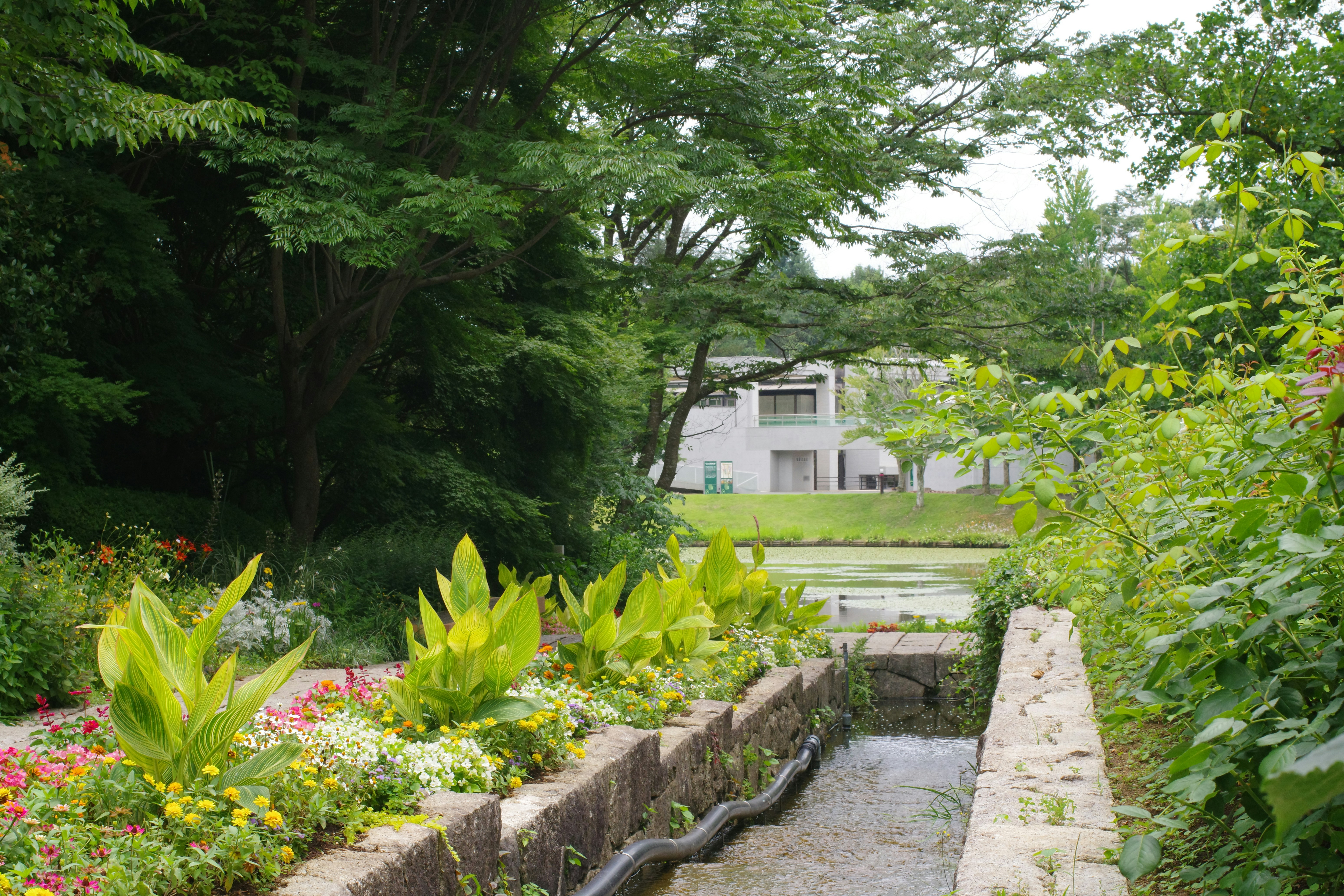 Luxury Villa in Masaki