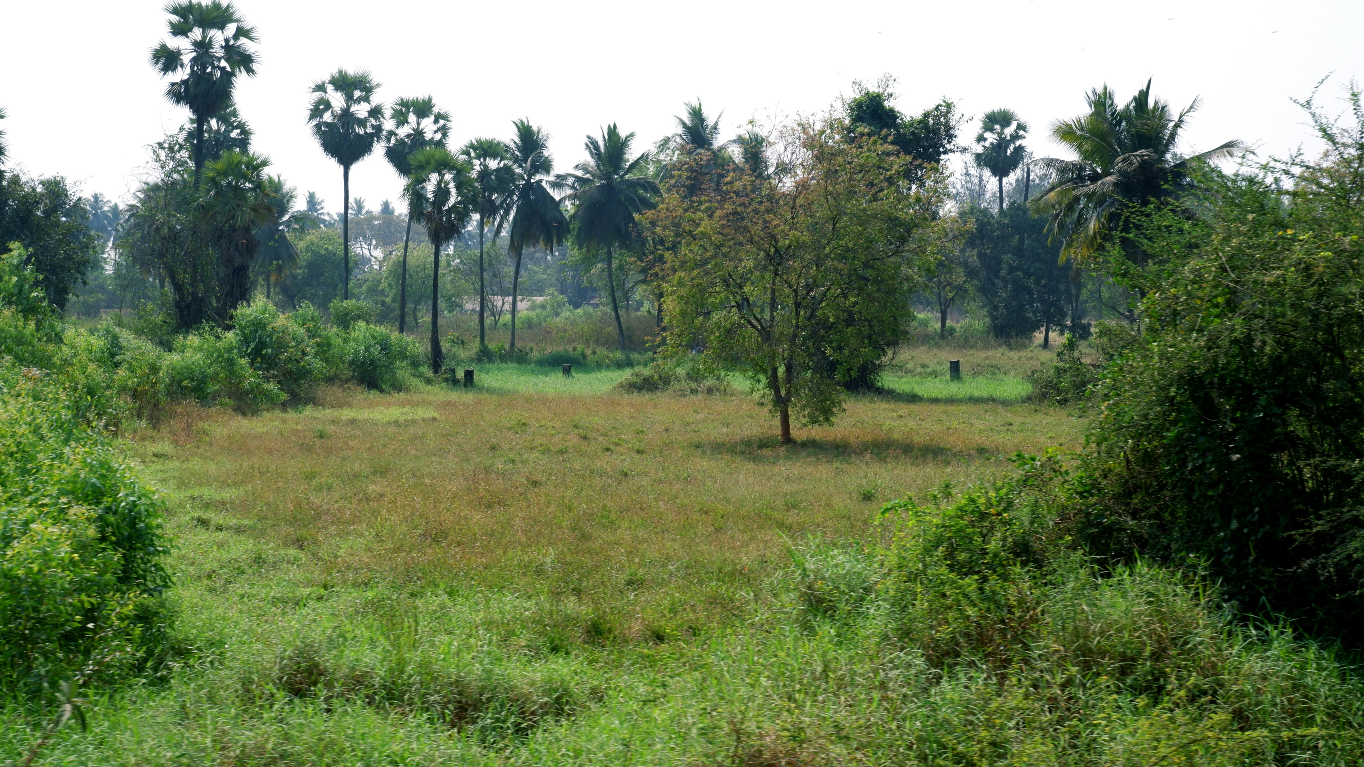 Prime Land Plot in Kinondoni